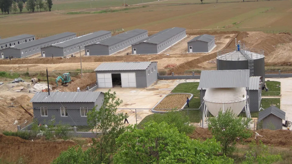 Livestock buildings beside an anaerobic reactor, membrane gas holder, and biogas-station service buildings in Yanqing